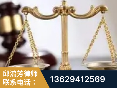 陇南-委托诉讼代理人出庭